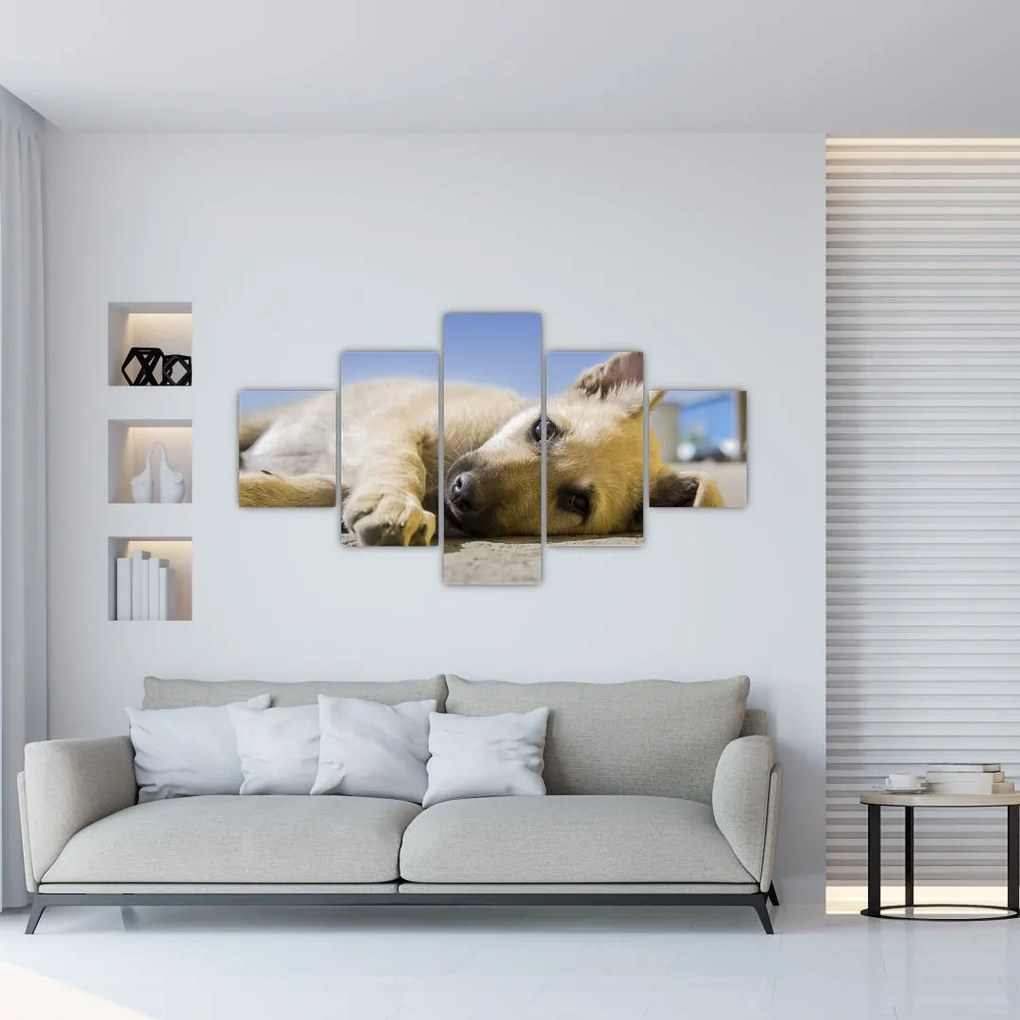 Obraz leżącego szczeniaka (125x70 cm)
