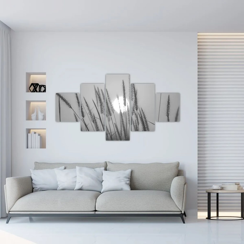 Obraz - Łąka o zachodzie słońca (125x70 cm)