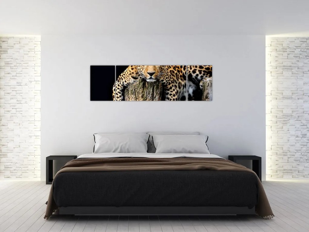 Obraz - Gepard (170x50 cm)