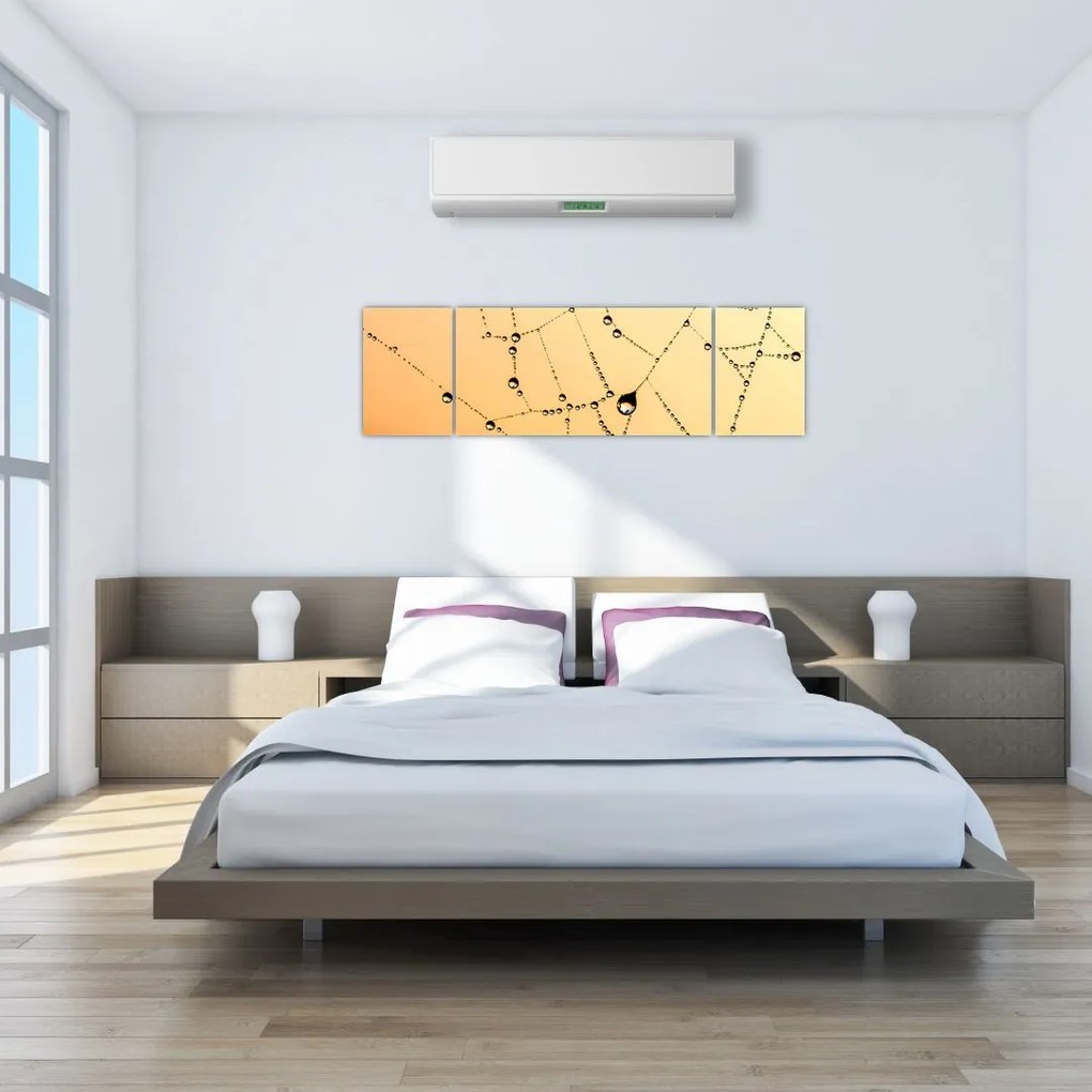 Obraz zroszonej pajęczyny (170x50 cm)