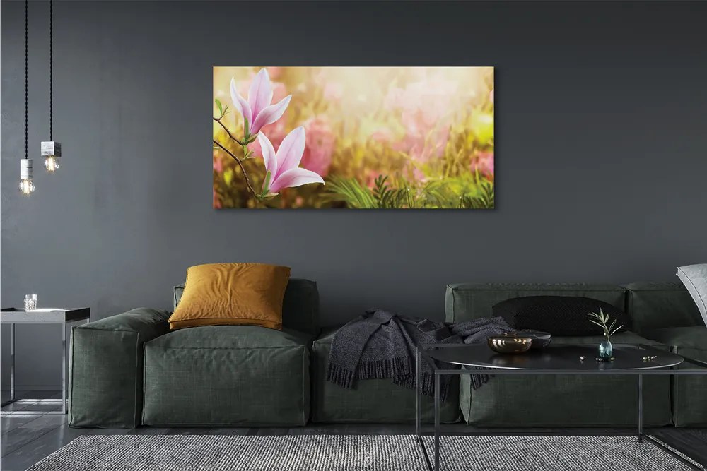 Duży obraz na płótnie Drzewa Magnolii w Słońcu