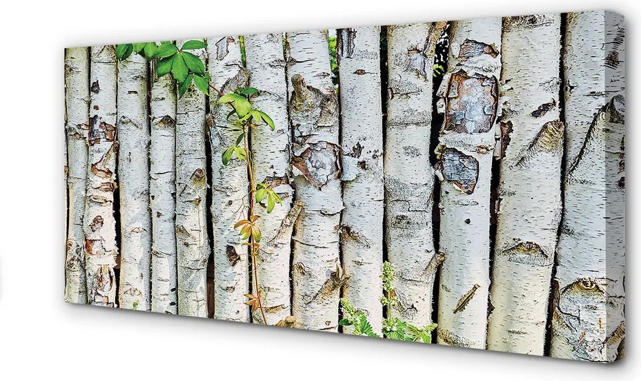 Obraz na płótnie Liście Brzozy