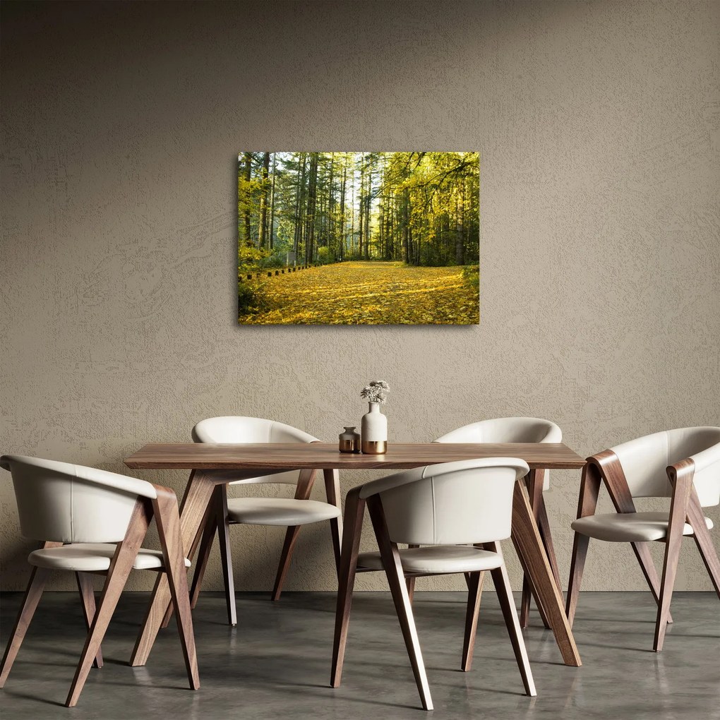 Obraz - las jesienią (70x50 cm)