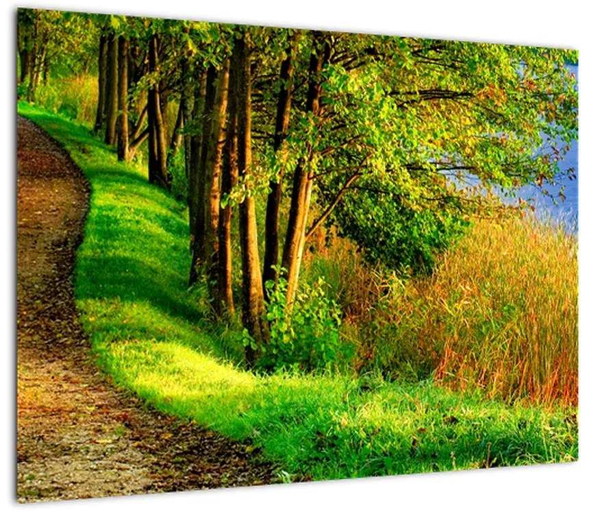 Obraz na szkle szlaku wzdłuż wody (70x50 cm)