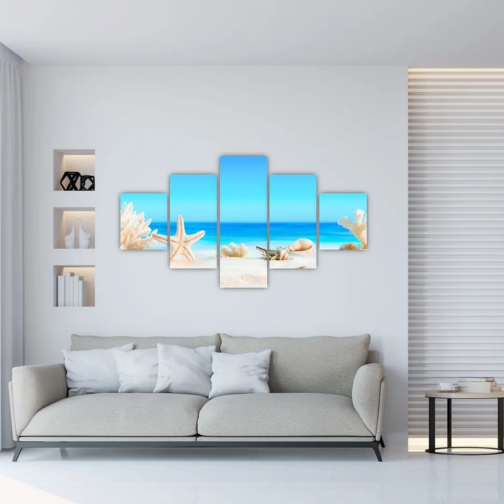 Obraz - Martwa natura z muszelkami (125x70 cm)
