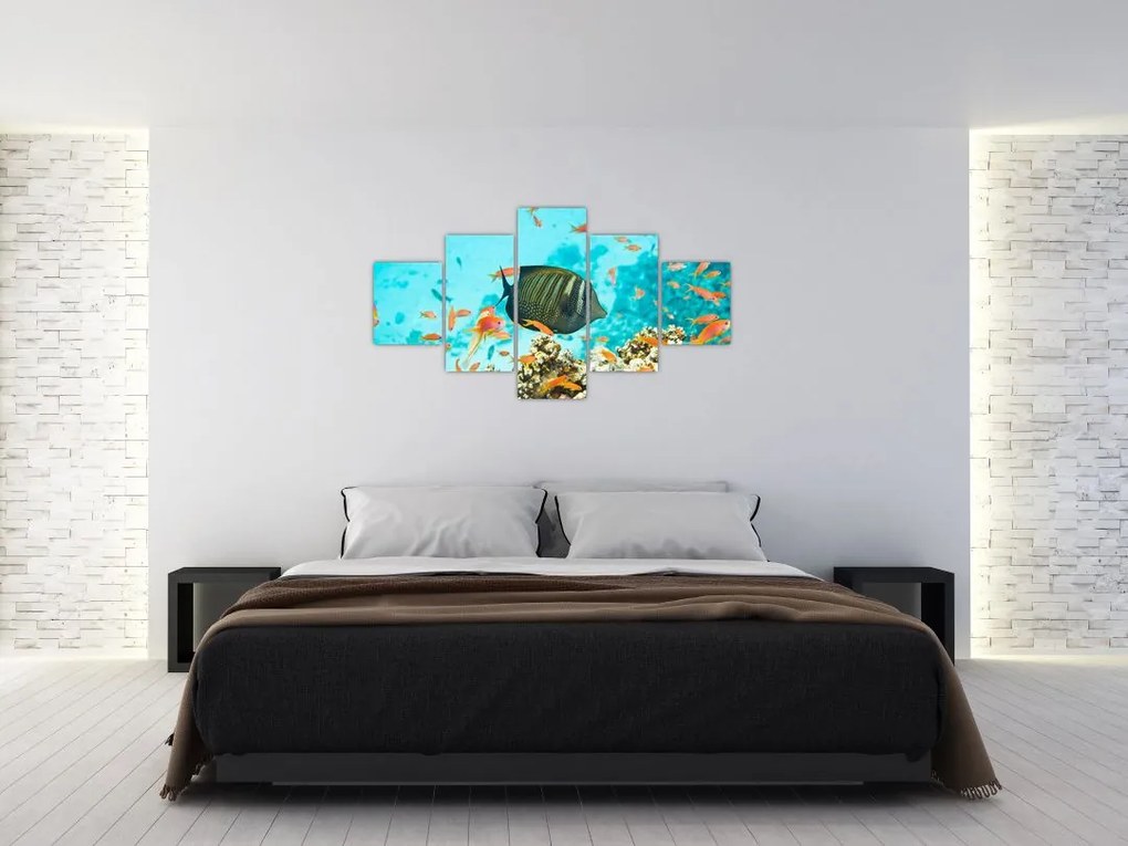 Obraz podwodnego świata (125x70 cm)