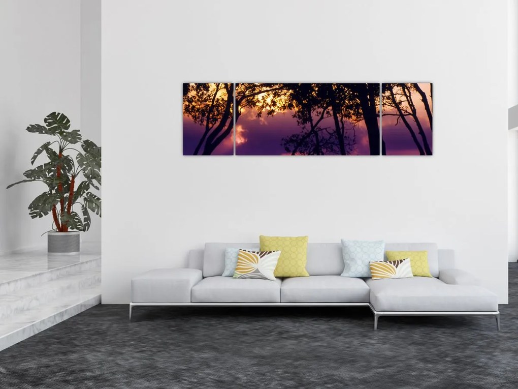 Obraz - Drzewa o zachodzie słońca (170x50 cm)