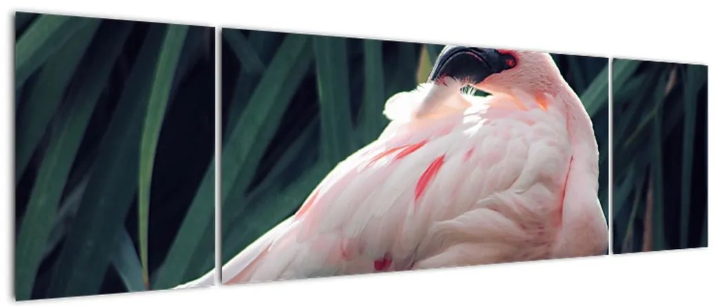 Obraz - Flaming (170x50 cm)