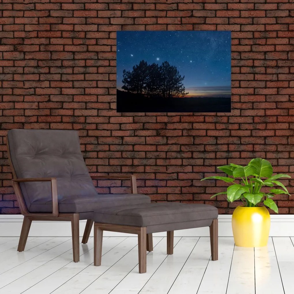 Obraz na szkle drzew w nocy (70x50 cm)