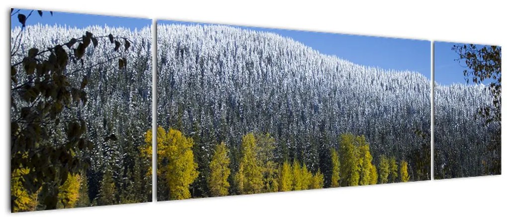 Obraz - ośnieżone góry zimą (170x50 cm)