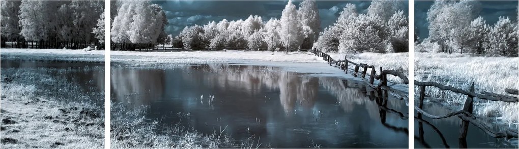 Obraz - Zamarznięty krajobraz (170x50 cm)