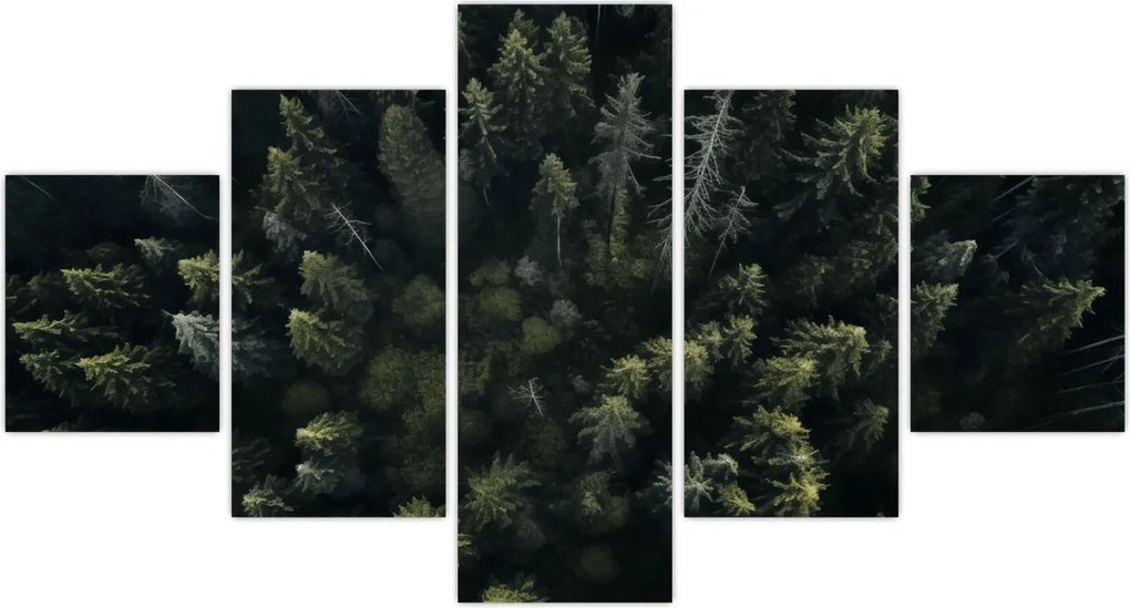 Obraz - Las (125x70 cm)