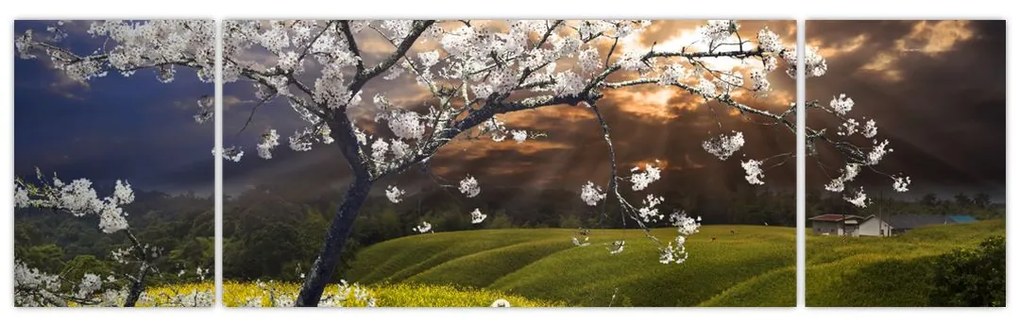 Obraz - Kwitnące drzewo w krajobrazie (170x50 cm)