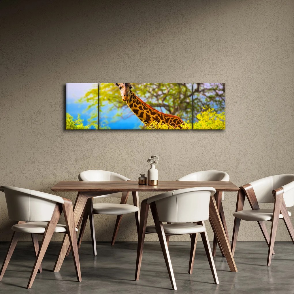 Obraz żyrafy w Afryce (170x50 cm)