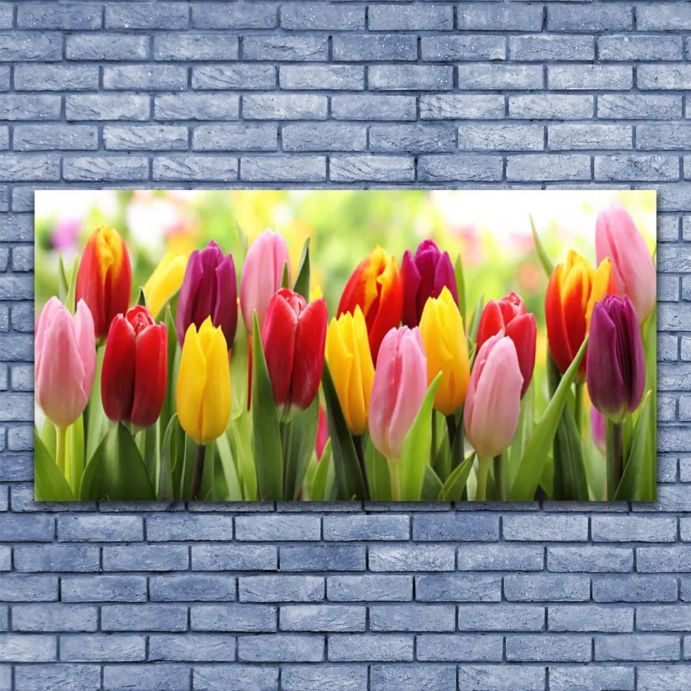 Obraz Canvas Tulipany Kwiaty Natura