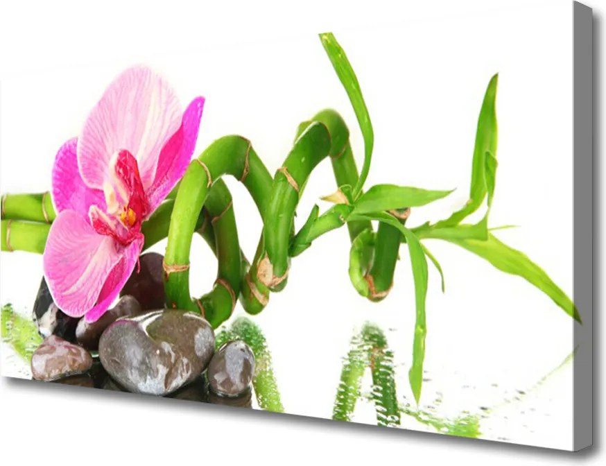 Obraz na płótnie Subtelny Rozkwit Natury