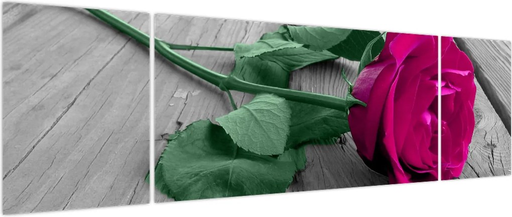 Obraz - Różowa róża z zieloną łodygą (170x50 cm)
