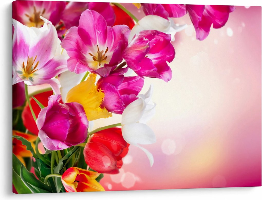 Obraz tulipanów (70x50 cm)