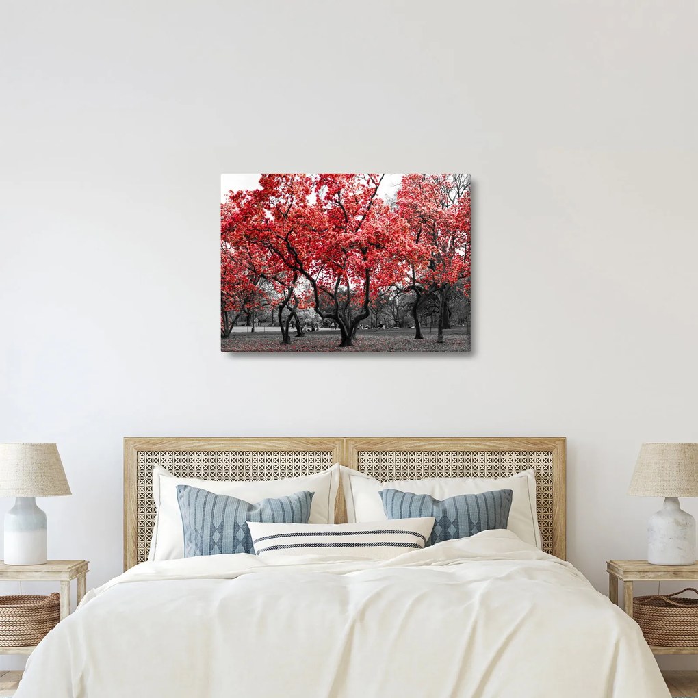 Obraz - Czerwone drzewa, Central Park, New York (70x50 cm)