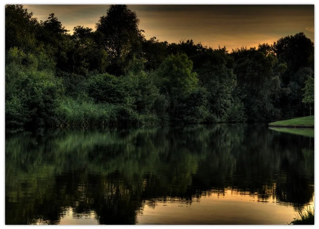 Obraz na szkle - jezioro przy lesie (70x50 cm)