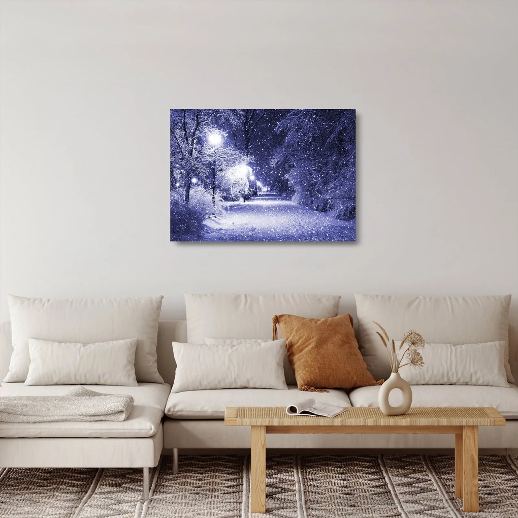 Obraz na szkle - Magiczna zimowa noc (70x50 cm)