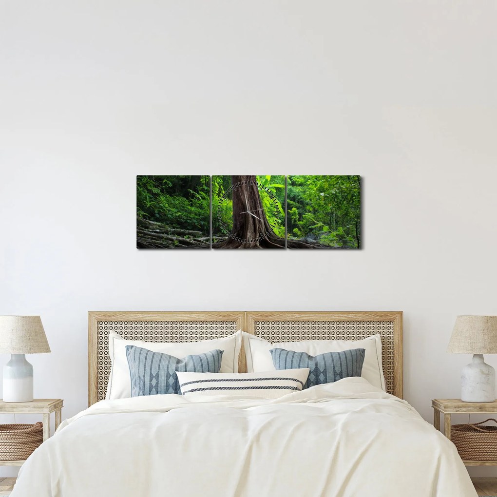 Obraz - Stare drzewo z korzeniami (z zegarem) (90x30 cm)