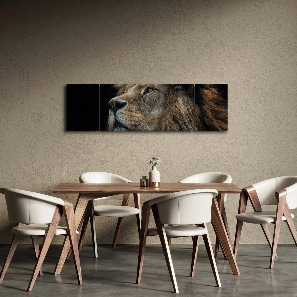 Obraz - Majestatyczny lew (170x50 cm)