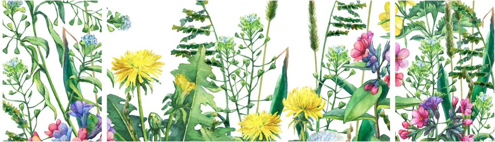Obraz - Malowane kwiaty łąkowe (170x50 cm)