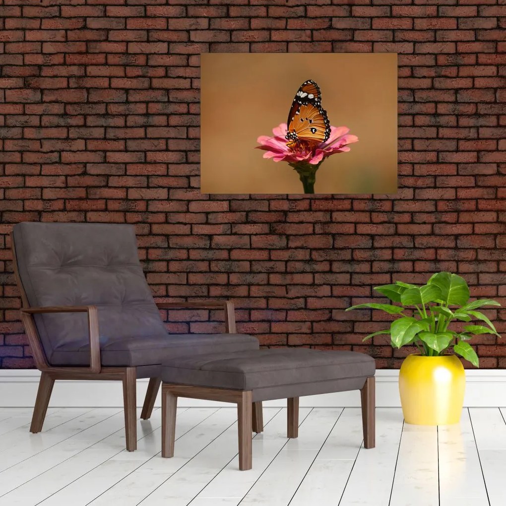 Obraz motyla na kwiatku (70x50 cm)