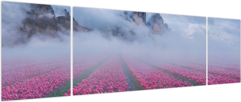 Obraz - Krajobraz z polami tulipanów (170x50 cm)
