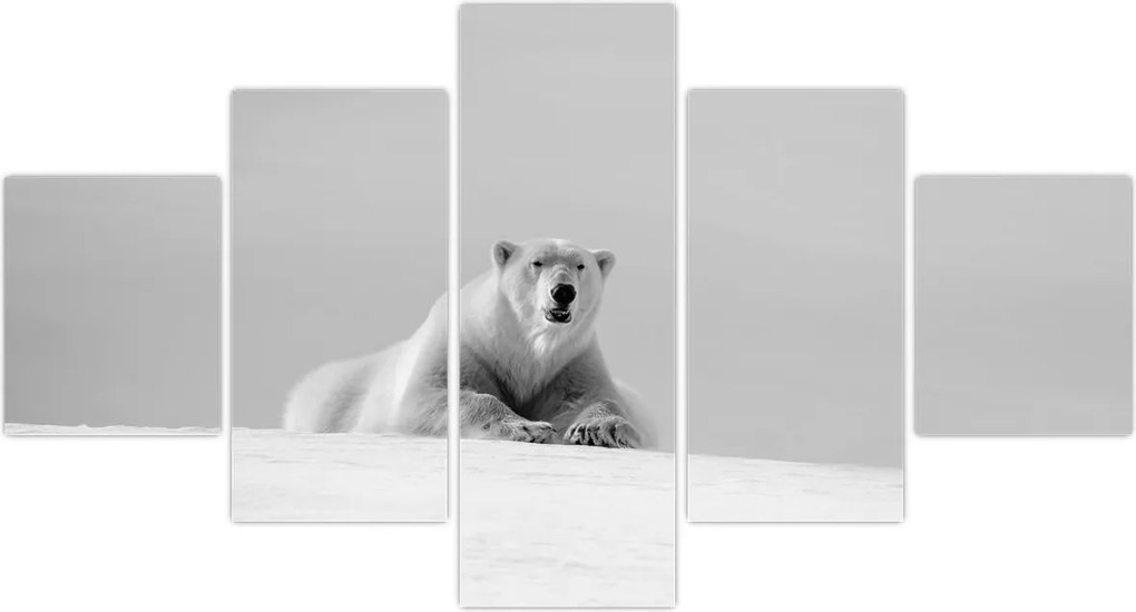 Obraz - Niedźwiedź polarny (125x70 cm)