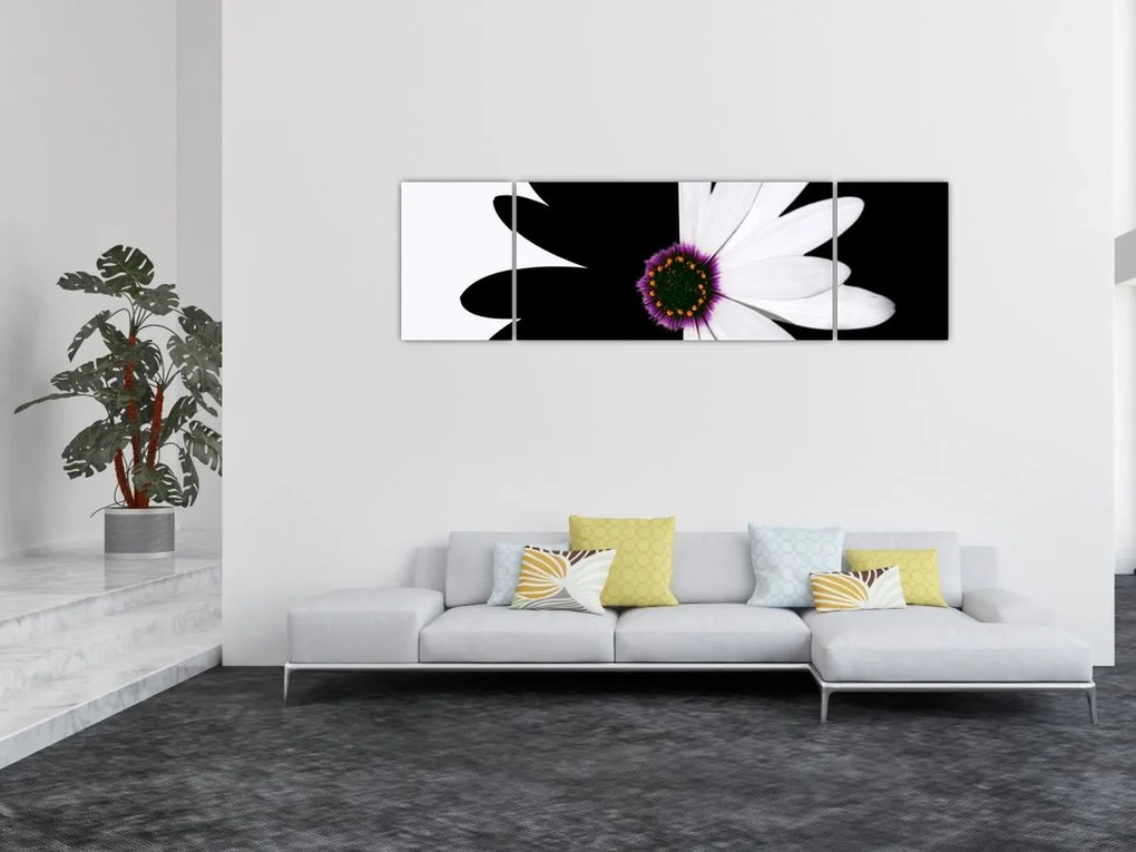 Obraz czarno - białego kwiatu (170x50 cm)