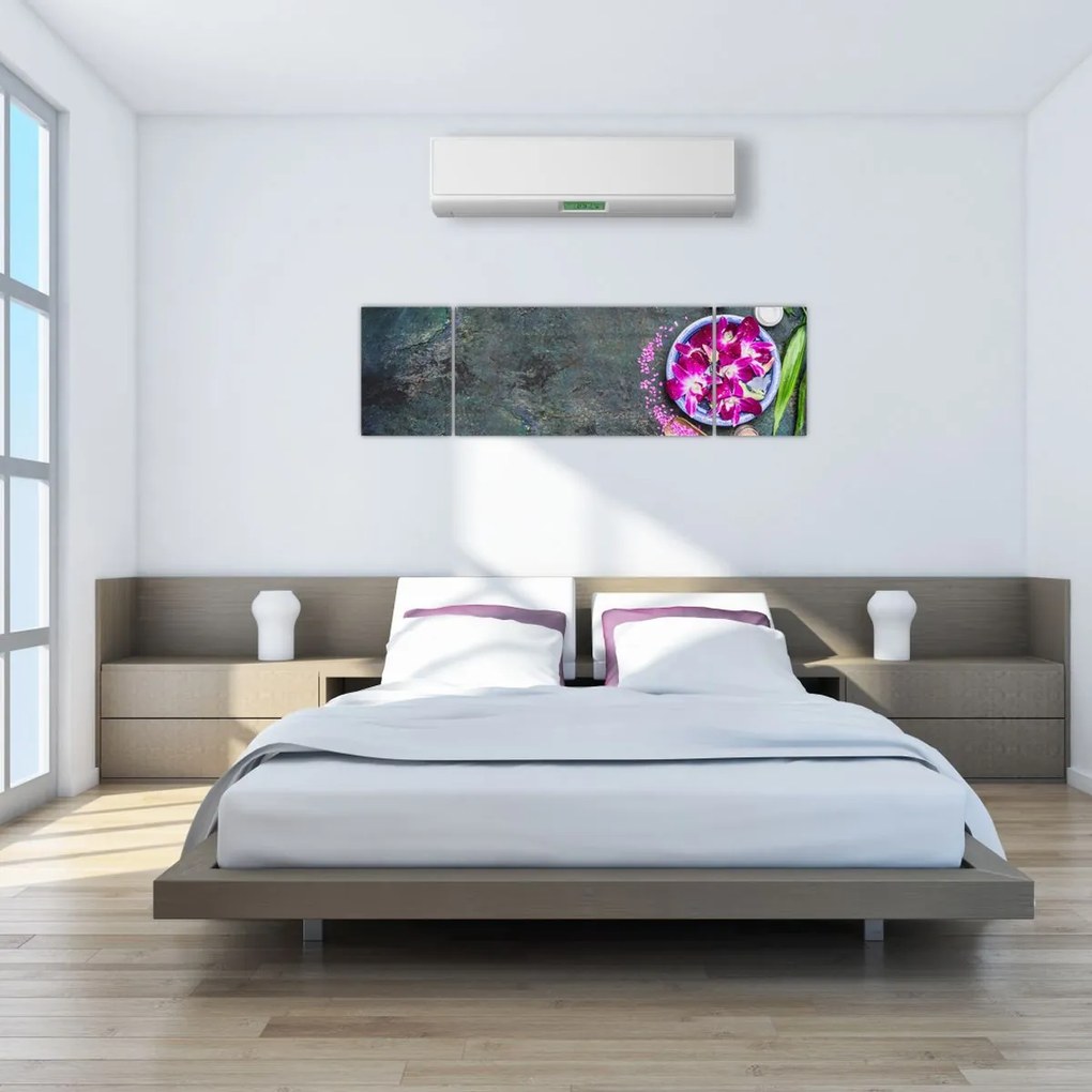 Obraz - Wellness (170x50 cm)