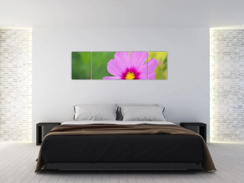 Obraz - polny kwiat (170x50 cm)