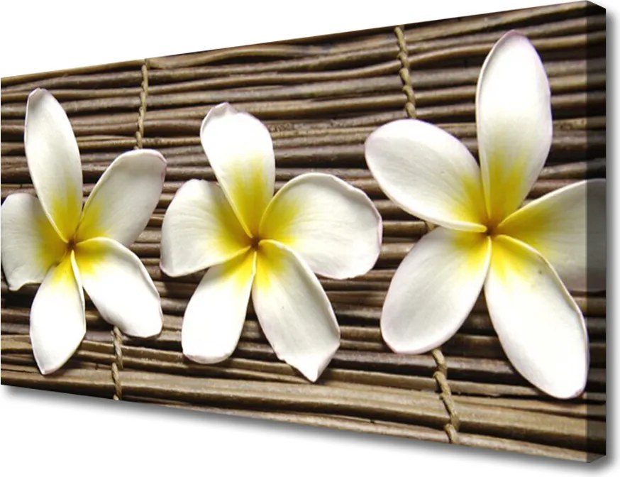 Zdjęcie na płótnie Harmonijna Flora Botaniczna