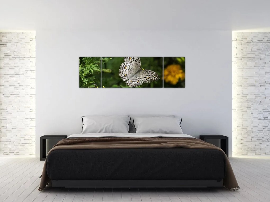Obraz - biały motyl (170x50 cm)