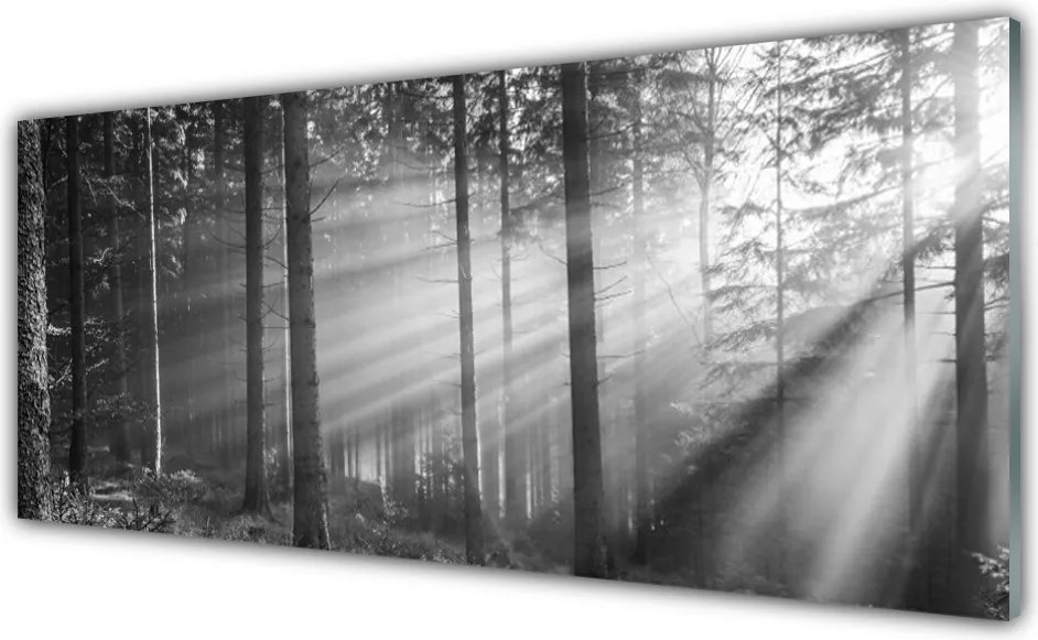 Panel Szklany Słońce w Katedrze Drzew