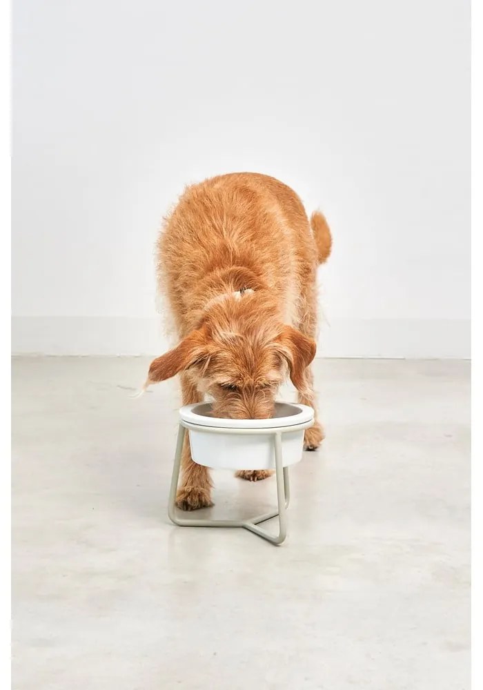 Porcelanowa miska ze stojakiem dla psów ø 20 cm Pranzo Greige M – MiaCara