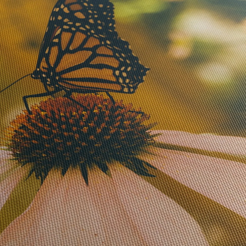 Obraz motyla na kwiatku (125x70 cm)