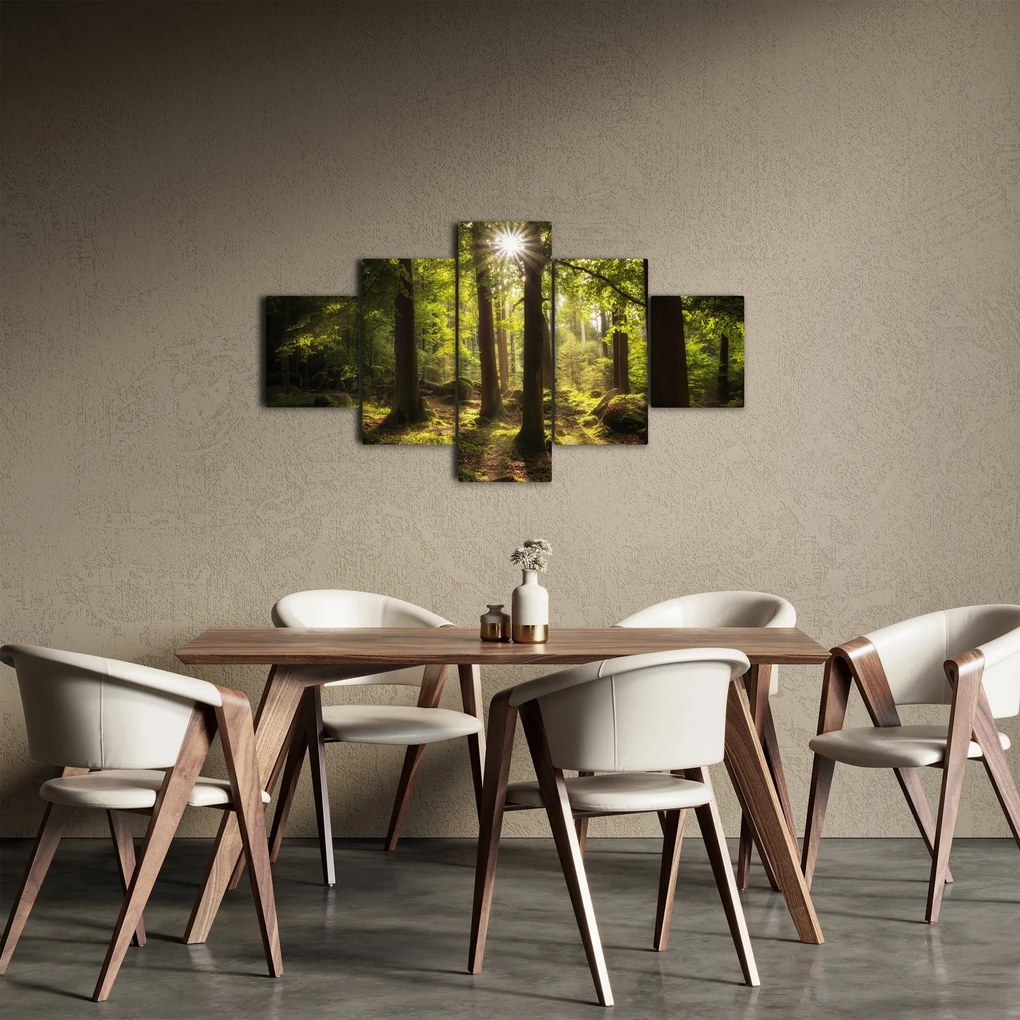 Obraz sennego lasu (125x70 cm)