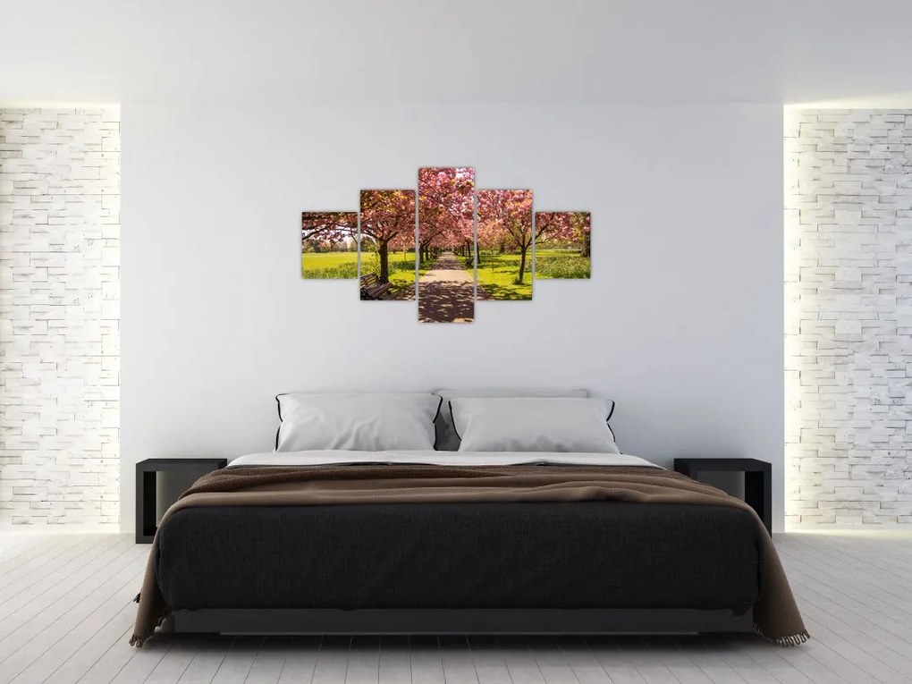 Obraz - sad czereśniowy (125x70 cm)