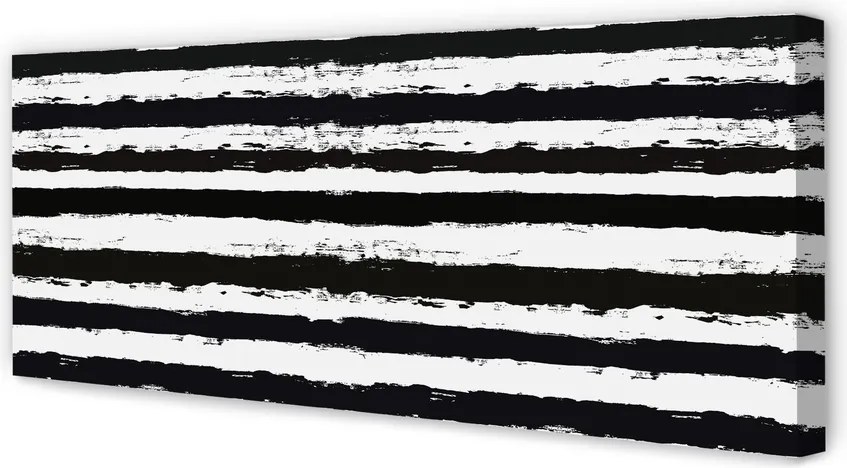 Zdjęcie na płótnie Dziki Wzór Zebry