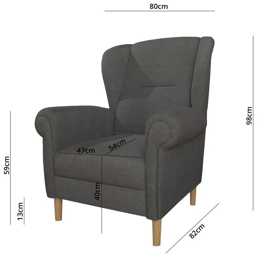 Ciemnoszary fotel typu uszak Swan – Ropez