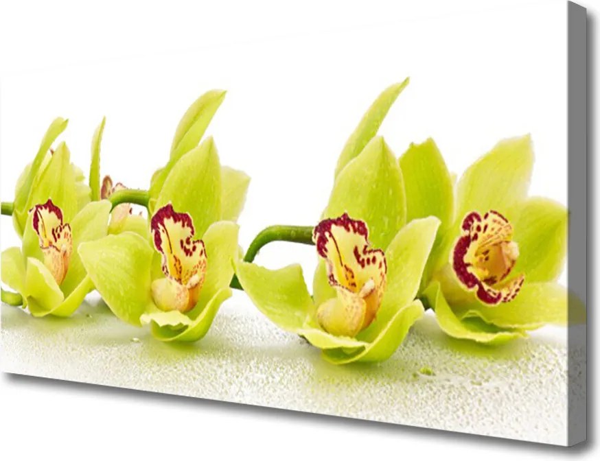 Zdjęcie na płótnie Harmonijny Ogród Kwiatowy