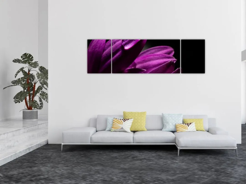 Obraz  - Kropla wody (170x50 cm)