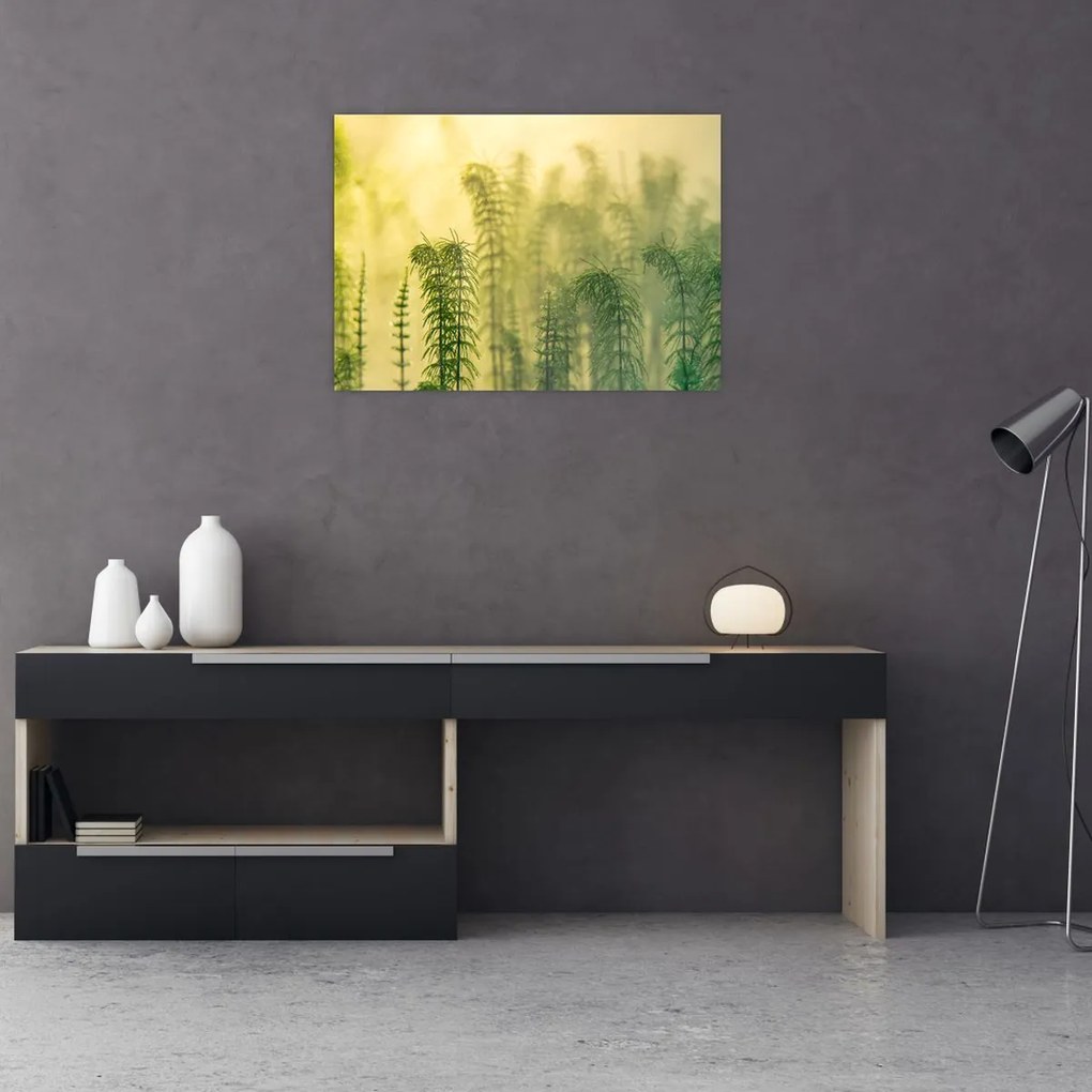 Obraz na szkle - Szczegół wiosennej mglistej przyrody (70x50 cm)