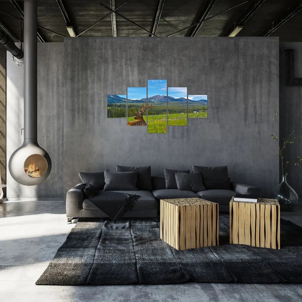 Obraz - Jeleń na łące (125x70 cm)
