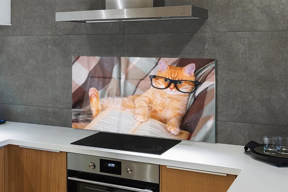 Panel Szklany Inteligentny Kot Bibliofil