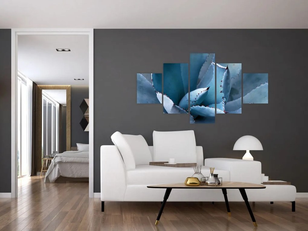 Obraz - Agawa (125x70 cm)