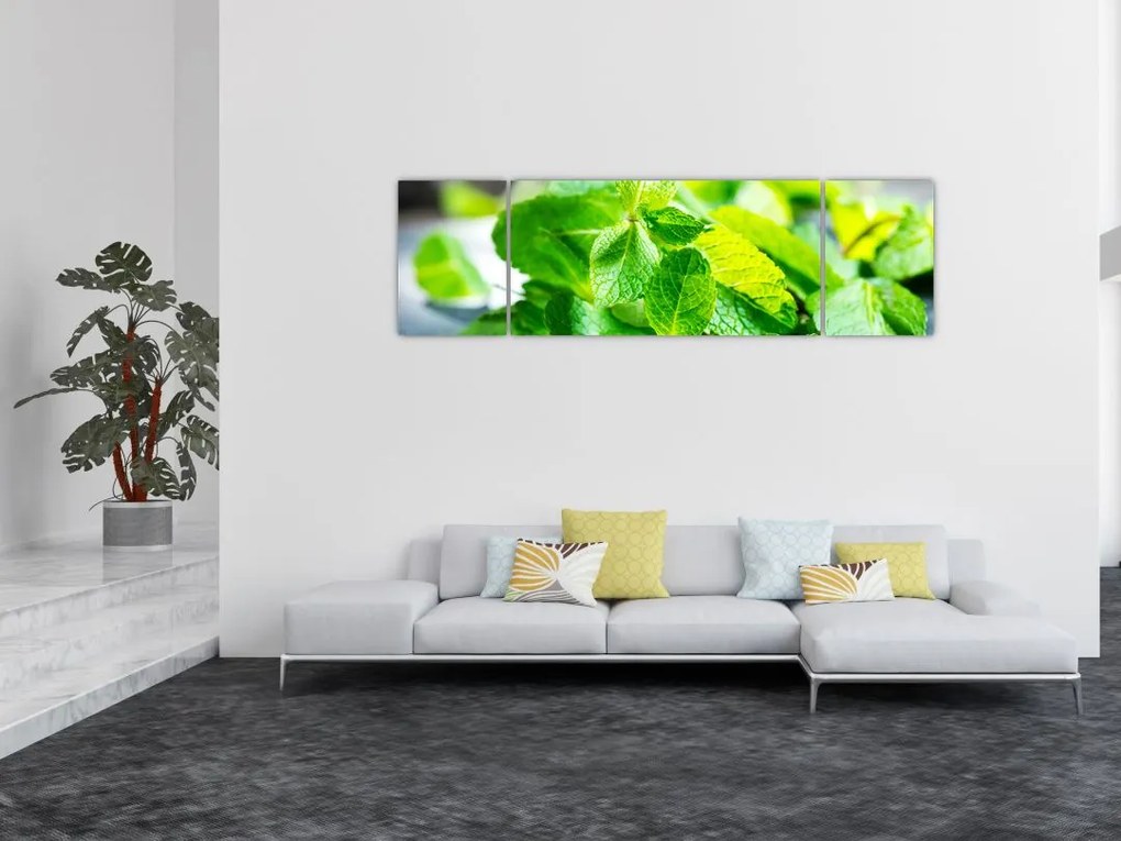 Obraz mięty (170x50 cm)